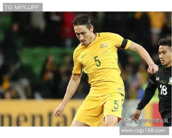 吉灵汉姆与桑德兰球队身价对比分析及其影响因素探讨 吉灵汉姆与桑德兰球队身价对比分析及其影响因素探讨