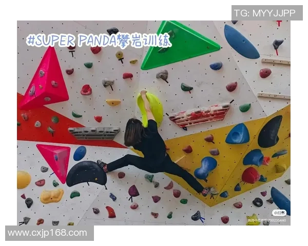 成都攀岩队速度表现数据分析揭示训练效果与提升空间MBA