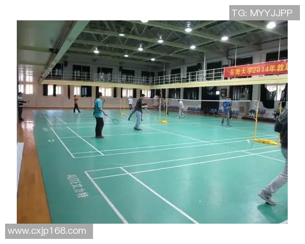 南京羽毛球队转型之路的得与失分析与展望