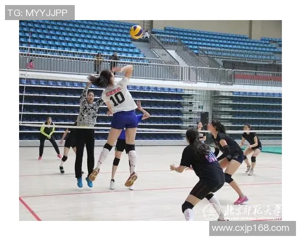 杭州排球队的奋斗与荣耀:一段排球精神的传承与突破之路