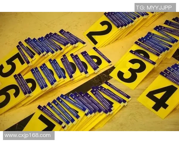 累体育与圣保罗直播精彩对决全程回顾与分析